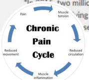 Smart Medical & Rehab Therapy